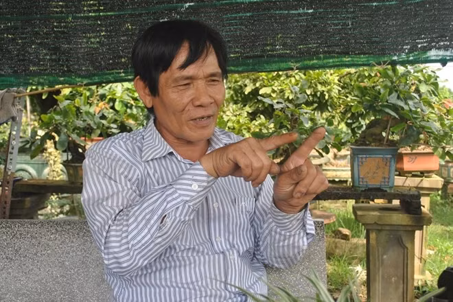 Ông Tuấn say sưa nói chuyện làm mai nghệ thuật bonsai.