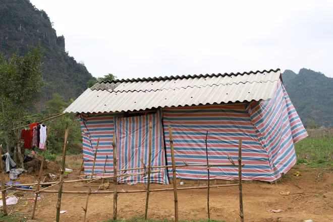 Túp lều ba cháu nhỏ sinh sống hàng ngày giữa cánh đồng mía.