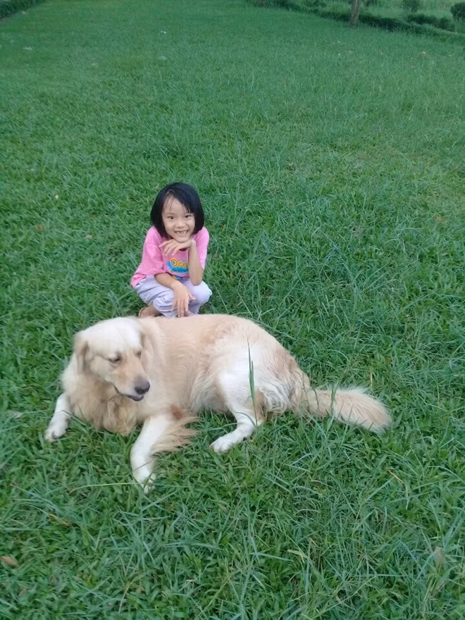 Mơ ước được làm bác sĩ thú y của bé Hải An mãi mãi không bao giờ thành hiện thực.