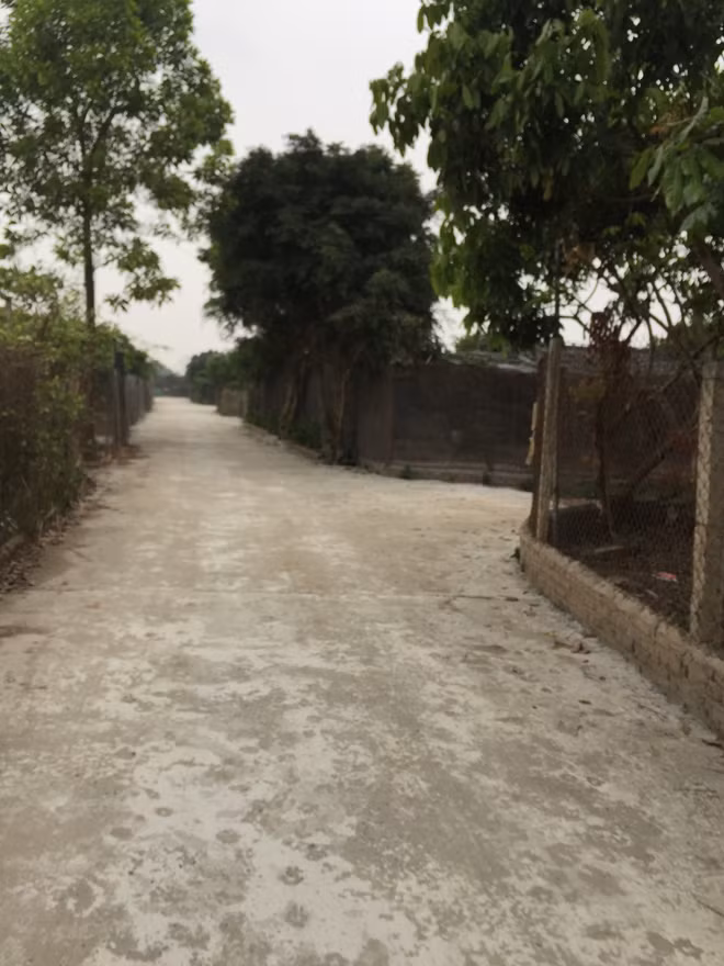 Đường bê tông giống như đường làng ở Bãi Giữa.