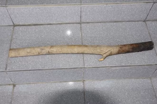 Khúc gỗ Tâm dùng để gây án.