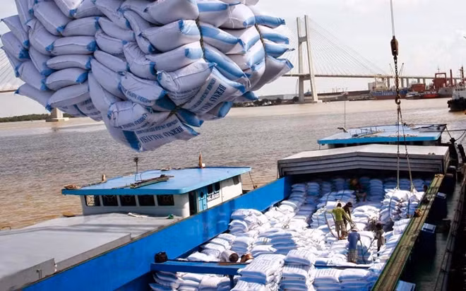 Tiềm năng xuất khẩu gạo chất lượng cao, gạo thơm sang thị trường EU là rất lớn. (ảnh internet)