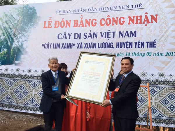 Lễ đón nhận bằng công nhận Cây di sản.