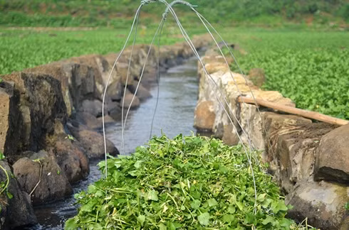 Bí mật giếng cổ Quảng Trị nhiều tầng văn hóa lưng chừng núi