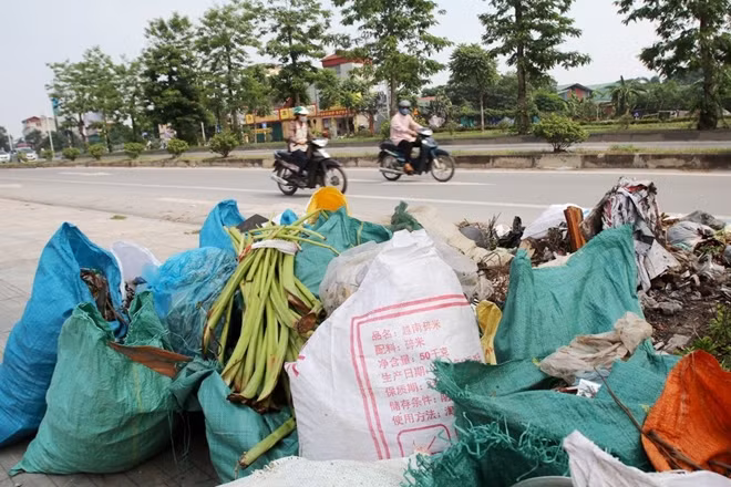 Nhiều túi rác đã được thu gom, nhưng vẫn "yên vị" trên vỉa hè chứ chưa được di chuyển đi.