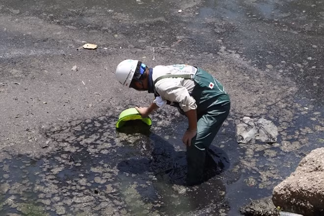 Mẫu bùn ở đáy sông cũng được lấy để đem đi phân tích.