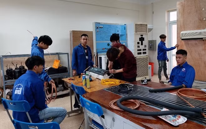 Tỷ lệ lao động thất nghiệp tham gia học nghề hiện đang rất thấp.