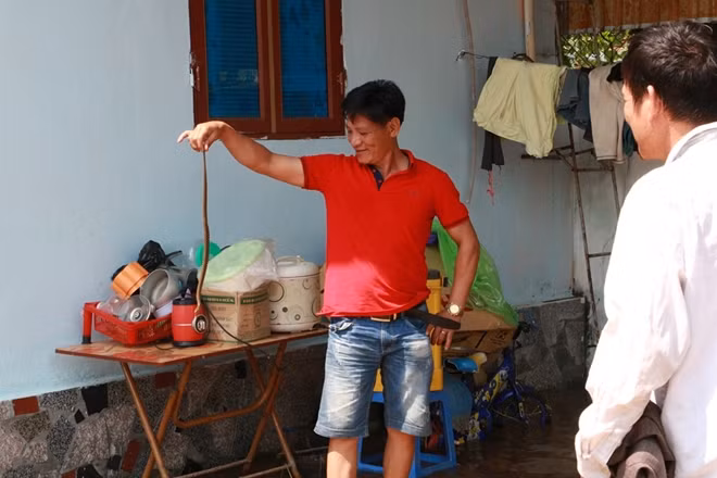 Có những người còn bắt được cả rắn trong sân nhà.