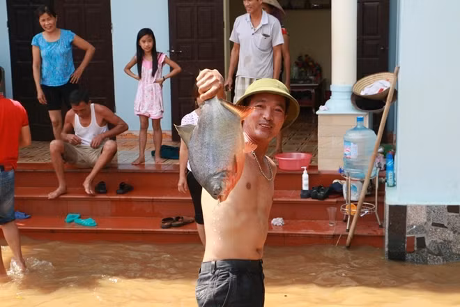 Chú cá chim nước ngọt này chắc bị sổng ra từ hồ cá nào đó tại địa phương.