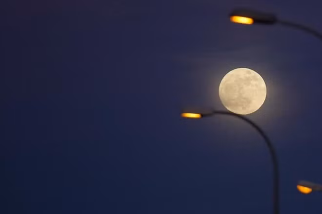Tại Tây Ban Nha.