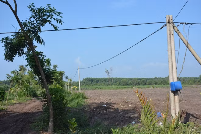 Đường điện và kênh mương thoát nước được xây dựng.