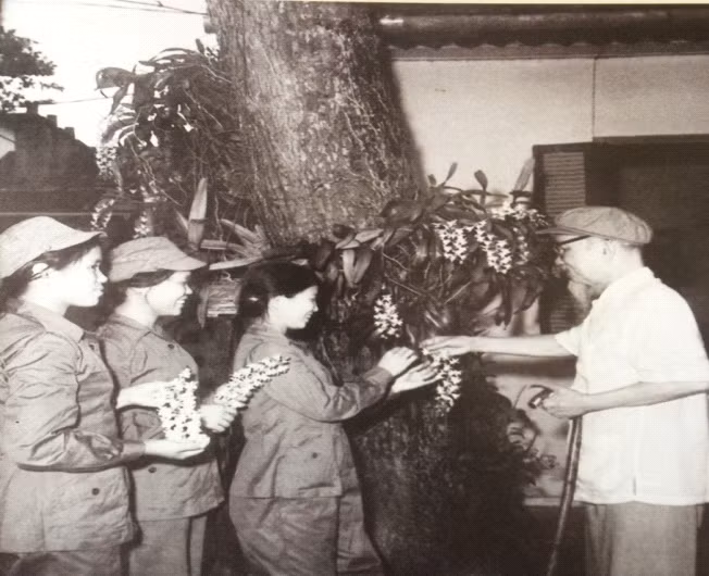 Chủ tịch Hồ Chí Minh tặng hoa cho ba nữ dân quân Quảng Bình, Vĩnh Linh ngày 11-9-1968 (bà Trương Thị Khuê đứng thứ hai từ trái sang).