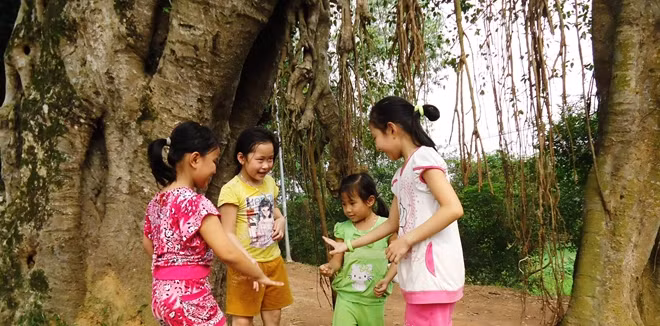 Tuổi thơ dưới bóng cụ cây (Đường Lâm, Sơn Tây).