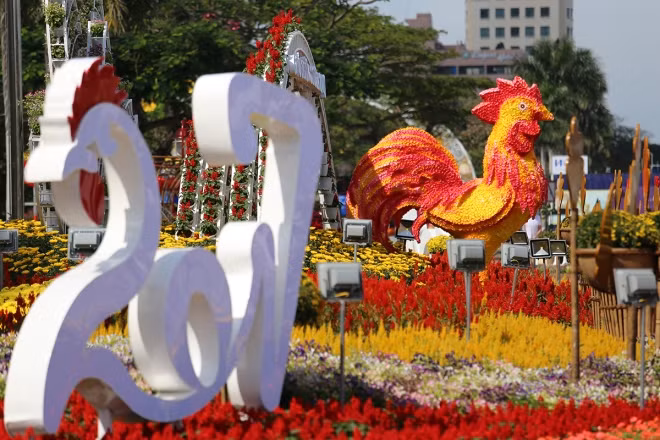 Gà trống - linh vật năm Đinh Dậu 2017 được trang trí ở giữa tuyến đường hoa trước trụ sở HĐND TP Đà Nẵng để tạo điểm nhấn.