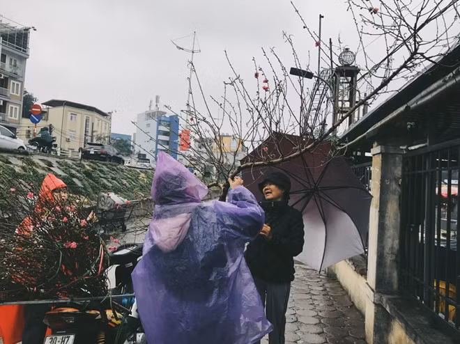 Hai mẹ con chị Hà (làng đào Nhật Tân, Hà Nội) tất bật chở đào xuống chợ hoa Quảng An bán từ sáng sớm.