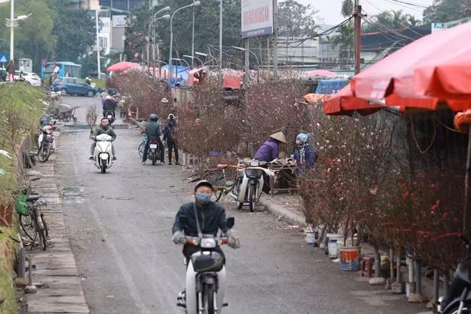 Một trong những nơi bán đào cành nhiều nhất là chợ hoa Quảng Bá.