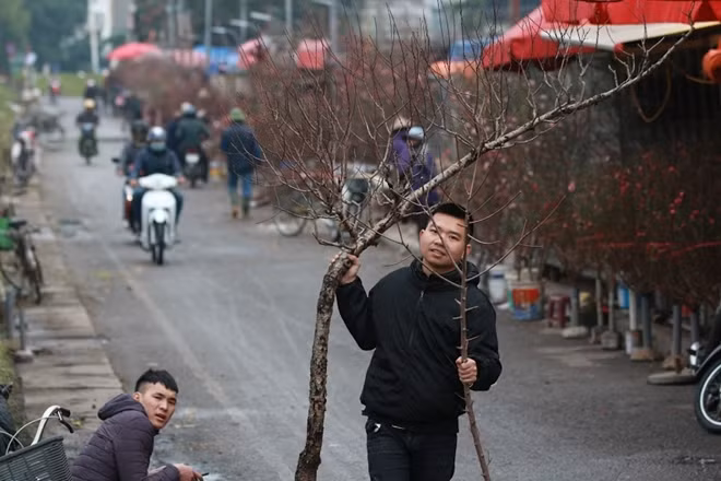 Hiện cũng xuất hiện cả đào rừng tại khu chợ này.