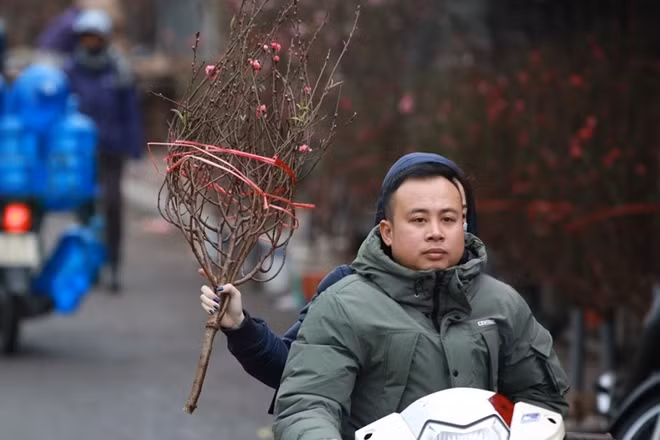 Một cành đào đẹp có thể được bán với giá 50.000 đồng.