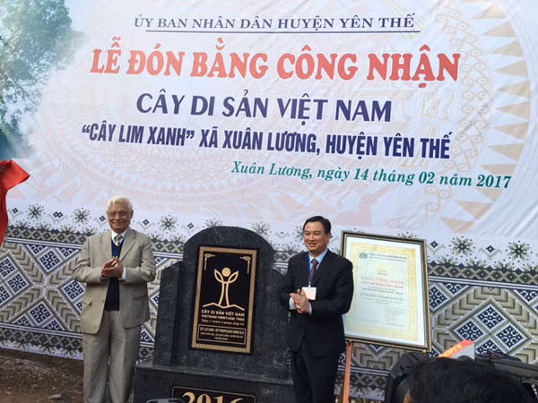 Lễ đón nhận bằng công nhận Cây di sản.