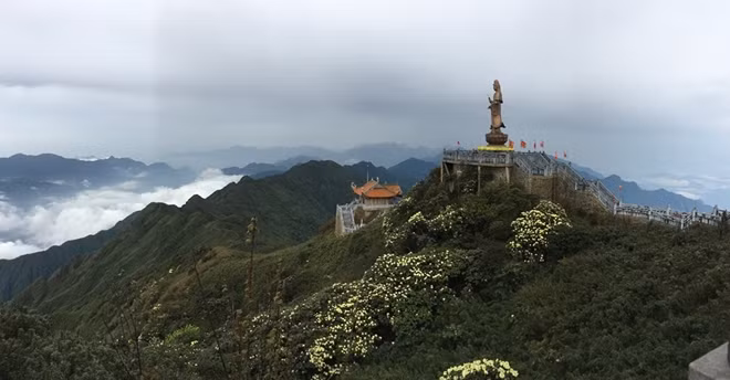 Và cả vạt rừng đỗ quyên cổ thụ đang trổ sắc hoa vàng ruộm chảy tràn trên các sườn núi dẫn lên tới quần thể văn hóa tâm linh trên đỉnh Fansipan.