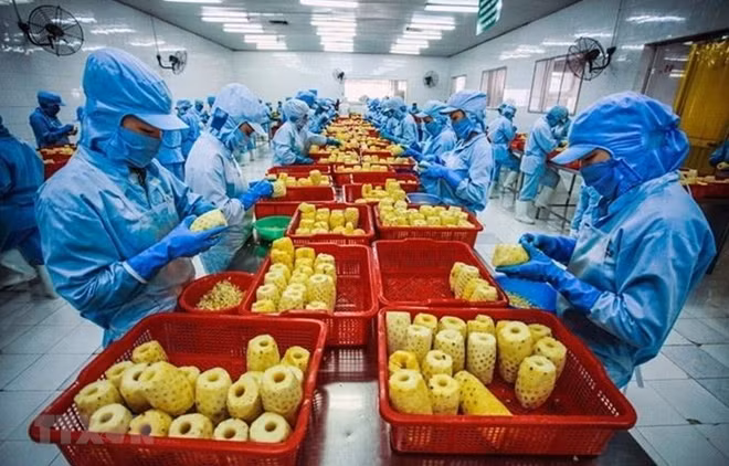 Lợi thế và thách thức đặt ra với các sản phẩm xuất khẩu của Việt Nam khi thực hiện các hiệp định mới.