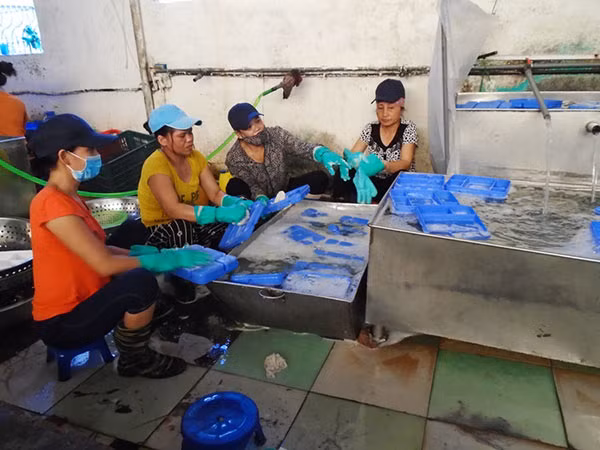 Nơi các công nhân làm việc. Nơi các công nhân làm việc.