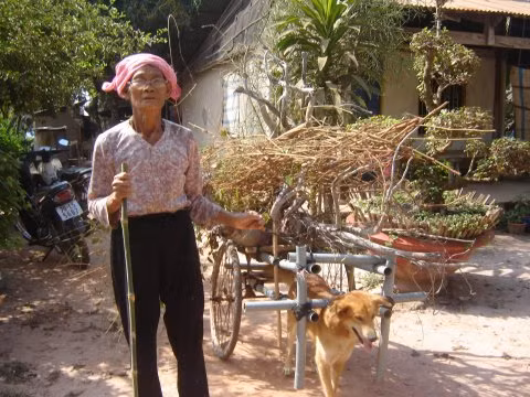 Bà Cao Thị Mỹ bên chú chó chuẩn bị hành trình kéo xe ra chợ. Ảnh: sưu tầm