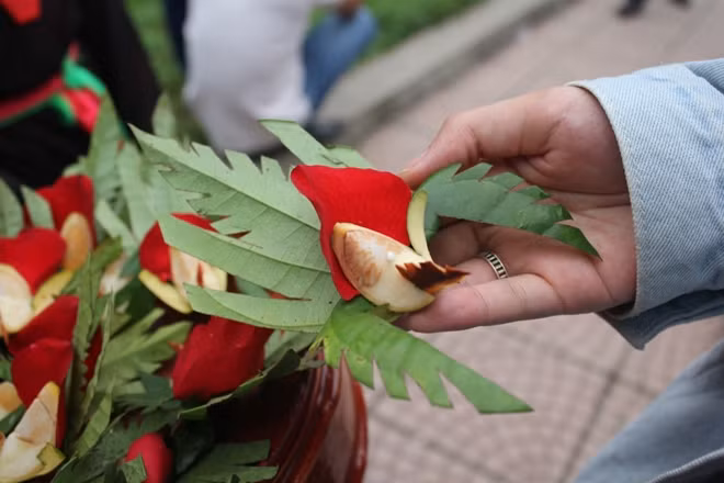 Trầu têm cánh phượng là nét đặc trưng trong nền văn hóa của vùng đất Kinh Bắc. Trong làn điệu quan họ quen thuộc “trầu này trầu tính trầu tình, ăn vào cho đỏ…” các liền chị truyền tay gửi tặng du khách những miếng trầu cánh phượng.