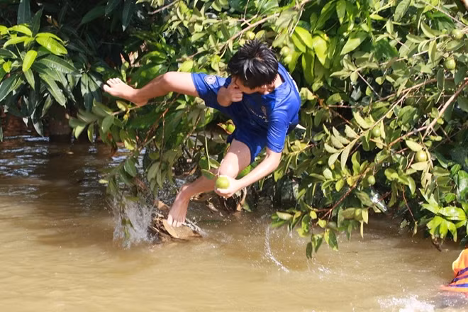 Một em lớn hơn lại chọn một cây ổi gần đó làm nơi để nhảy.