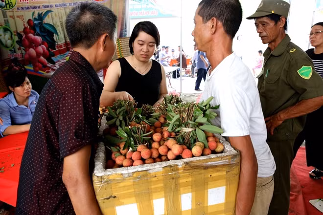Số lượng người mua lớn khiến các gian hàng phải liên tục bổ sung vải tươi để phục vụ nhu cầu của khách hàng.
