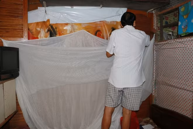 Tuy vậy nếu muốn ngủ vẫn phải mắc màn.