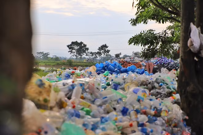 Có thể nói không ngoa rằng ở đây đi đâu cũng thấy phế liệu nhưa. Từ trong nhà, đến ngoài vườn, đường làng...