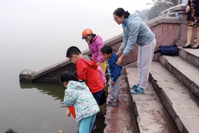 Có khi cả đại gia đình cùng nhau đi thả cá vàng, trẻ con thích thú khi được cha mẹ cho thả những chú cá vàng.