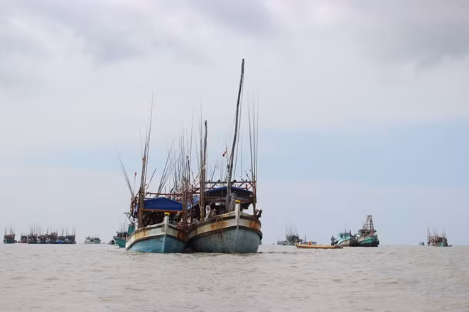Các tàu đánh bắt xa bờ đang vào cửa biển Sông Đốc (Cà Mau) để tránh, trú ATNĐ.