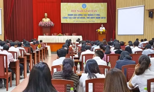 Trao hơn 12 nghìn sổ bảo hiểm xã hội, thẻ bảo hiểm y tế cho người dân ảnh 3
