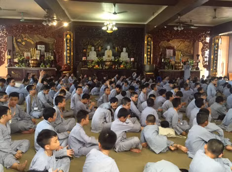 Ngày càng có nhiều các em nhỏ tham gia khóa học “tu” mùa hè.