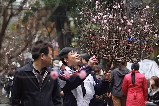 Không khí nô nức đi chợ hoa phố cổ Hà Nội ngày Tết.