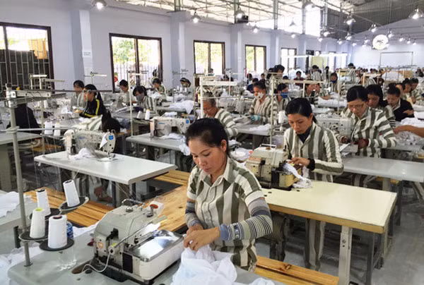 Lao động giúp các phạm nhân tĩnh trí, làm lại cuộc đời.