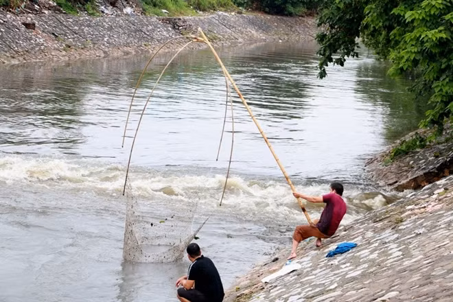 Ngay từ sáng nhiều người dân đã mang vó ra sông Kim Ngưu, điểm tại nhiều cửa xả để bắt cá .