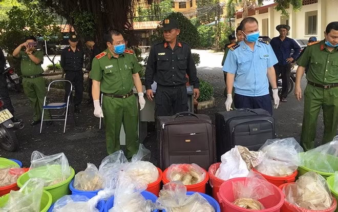 Cục CSĐT tội phạm về ma túy phá vụ vận chuyển ma túy số lượng lớn.