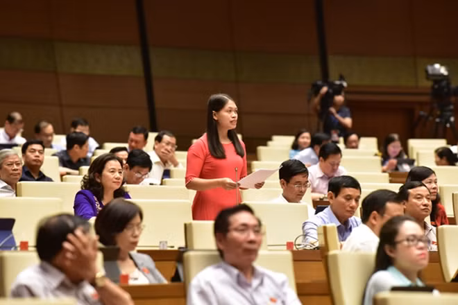 Đại biểu Đinh Thị Bình.