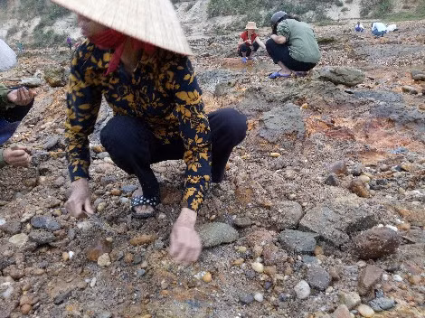 Từ người già đến trẻ con đều ra khu vực này.