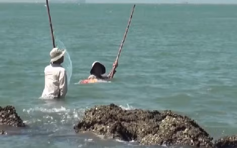 Mẻ lưới đôi khi cần hai người hợp lực kéo.