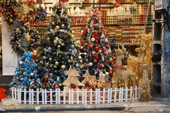 Giá cả cũng rất đa dạng, một cây thông Noel có kích thước lớn có thể tới tiền triệu, nhưng loại vừa hoặc nhỏ thì chỉ vài trăm ngàn.