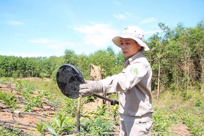 Rà phá bom mìn luôn là công việc nặng nhọc và nguy hiểm, đặc biệt là với phụ nữ.