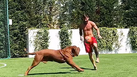 Messi chơi bóng với chú chó khổng lồ của mình trong sân nhà.