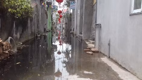 Mùi hôi thối bốc lên khiến các gia đình ở đây cửa đóng then cài. Mùi hôi thối bốc lên khiến các gia đình ở đây cửa đóng then cài.