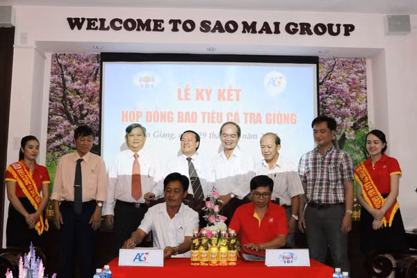 Nghi thức ký kết bao tiêu cá tra giống giữa Sao Mai-IDI và AFA.