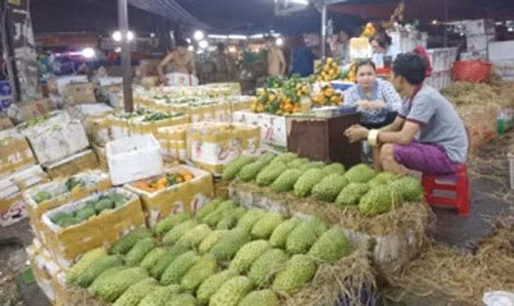 Quy mô phân phối nhỏ, chợ đầu mối hiện không có khả năng điều tiết giá cả thị trường.
