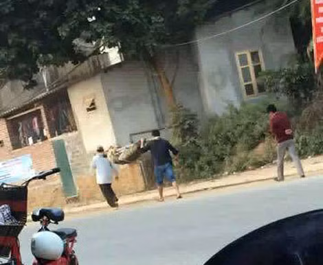 Hình ảnh trên mạng xã hội.